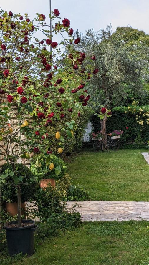 Bed & Breakfast Agli Aceri ヴェローナ エクステリア 写真