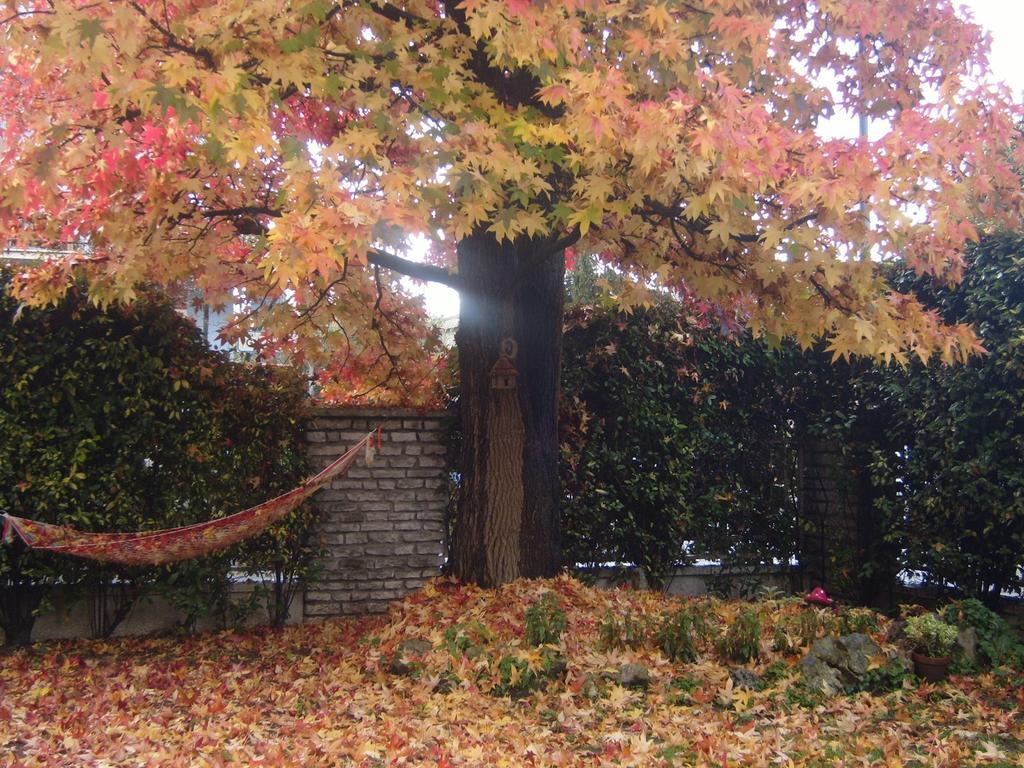 Bed & Breakfast Agli Aceri ヴェローナ 部屋 写真